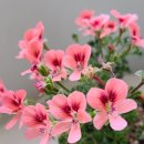 완전산업사 네이버블로그