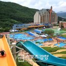 파인리조트 이미지