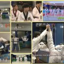 왕호태권도 이미지