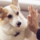 에코엠㈜ 이미지