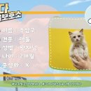 안다 동물보호소 이미지