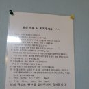 큐피트 | 청도여행) 청도 가성비 펜션 큐피트펜션 후기