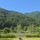 영월 비브릿지 풀빌라 내돈내산 솔직후기｜27개월 아기와 다녀온 키즈풀빌라, 재방문은 글쎄
