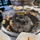 제주촌캉스 이미지