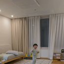 이찬혁의 멸종 위기 사랑! 이미지