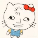 에스케이티케이 | 입추라고라고라?
