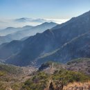 비밀의 정원 이미지