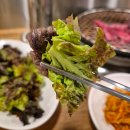 천우PC | [서울 맛집] #400 천우목장 - 신사 가로수길 한우 데이트