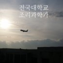 초당대학교 일반대학원 네이버블로그