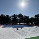비바랜드 - 익산시 익산대로19길 8-2 | [강원 홍천] 28개월 아기랑 비발디파크 - 식객 명품한우관, 지하 아케이드 비바플렉스몰, 스노위랜드 후기