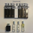 시솔 | [핸드크림 추천] 명품 향수 살 필요없는 고보습 핸드크림 &#34;피아&#34; 🧴💗 (가격/구매처/솔직후기/향리뷰)