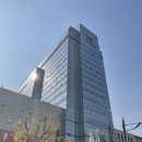 씨엠씨성모약국 | 출산후 꼬리뼈 통증 은평성모병원 정형외과 이준석 교수님 진료 후기