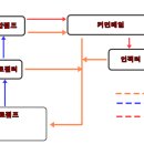 정일카센타 이미지
