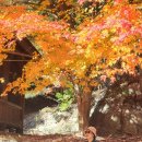 HS부동산중개사무소 이미지