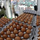 박정호농장(1농장) 이미지