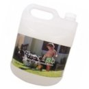 체리쉬퍼피 이미지