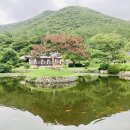 꽃길따라 이미지