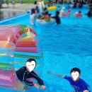 덕독천 | 물놀이와 함께한 여름방학 힐링 여행✨달코미마을 수영장 이용후기