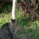 자동산책길 이미지