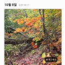 진교산소