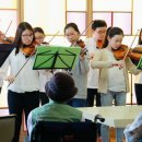 스즈키바이올린학원 이미지