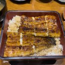 동문장어 | 울산 장어덮밥 맛집 윤우나기 공업탑에서 제대로 대접받는 한 끼