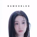 나무 블로그 업...이번 [박은빈] 블로그 극락좌표는 처음부터 끝- 이미지