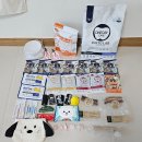 아이라잇댕 | 제2회 댕블리마켓 토요일 방문 후기