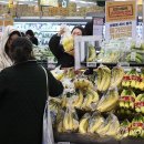 과일마트 이미지