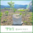 가성농장 이미지