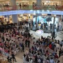 뷰티코리아-메디컬 이미지