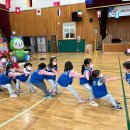 모전병설유치원 이미지