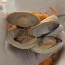 시장수산 | 수원 농수산물 시장 영일수산 – 가리비, 새우, 꽃게 후기