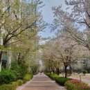우인공인중개사사사무소 | ✅ [계약완료]송파구 헬리오시티 25평 전세, 지금이 기회! 가성비 좋은 집 찾는다면 여기!
