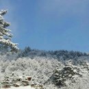 하늘내린강산 이미지