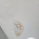 소장시 | 직접 해본 셀프 소송 소장접수 후기｜나홀로 소송 꿀팁