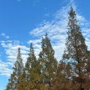 성산패총로-1 이미지