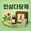 금산수삼시장(외부)_AP3 | 인삼다당체 효능, 만드는법, 혜민원 인삼다당체 가격, 브랜드 추천, 홍삼과의 차이
