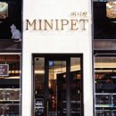 미니펫 강아지분양 고양이분양 수원점 이미지