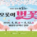 진명유치원 | 2026 김포 벚꽃축제 김포벚꽃명소 계양천벚꽃 일정, 주차장까지 총정리