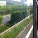 가자 행정사 사무소 이미지