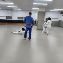 칼슨그레이시세종주짓수본관