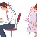 명성 바른자세 태권도 이미지