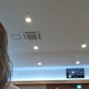 플룻 Daum카페