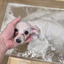 더개편한세상