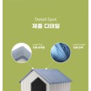 더 불리 하우스 | 아메리칸불리 대형견 하우스 추천 👉 네이처펫 빅사이즈 강아지 집 6개월 사용 후기