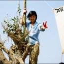 메모리스타 이미지