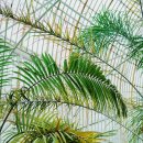 에덴의 정원 이미지