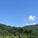 (주)송호조경 | 노스팜CC 라운딩 후기— 송호디자인의 색채, 한 번으로는 판단이 안 선다