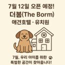 경기도 양평군 양평유치원 이미지